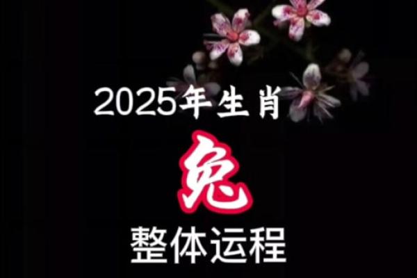2025年属兔结婚的好日子(属兔2025年结婚)