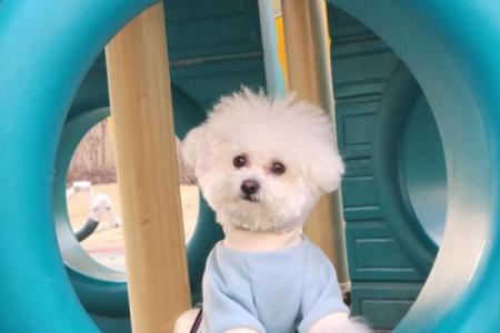 3月初3日是什么日子 3月初3是什么日子,有啥说法