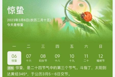 1977年11月15日农历是多少 1977年11月15号