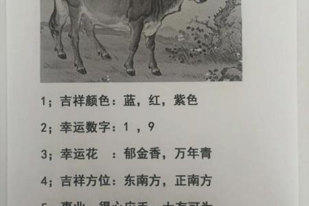 97年属牛男2025年结婚吉日(97年属牛男2025年结婚好吗)
