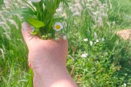 1990年7月10号是农历多少 1990年7月10日阳历是多少