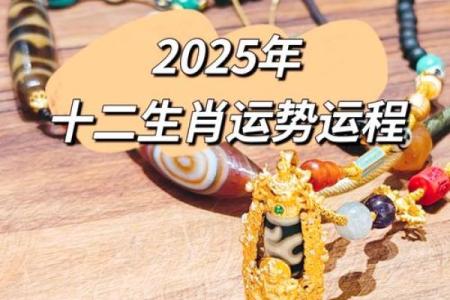 2025年属马结婚最佳日子(请问2025年属马的是什么命人)