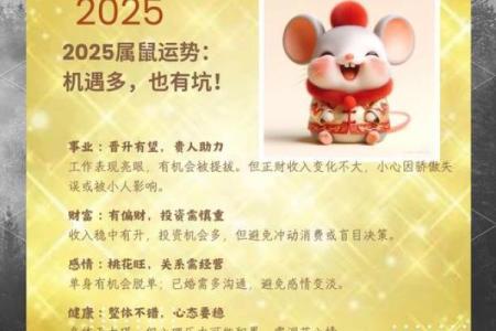 2025年属鼠结婚最佳日子(2025年属鼠的人怎么样)