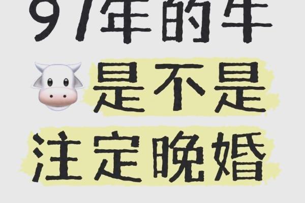 97年属牛最佳结婚吉日(97年属牛2025年结婚吉日)