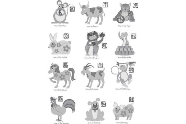 95男属猪和97女属牛结婚吉日(95男属猪和97女属牛结婚吉日是什么)