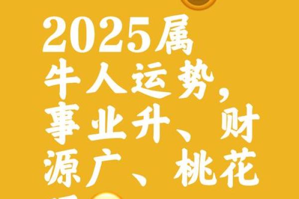 2025年属牛的适合几月结婚(属牛的人在2025年怎么样)