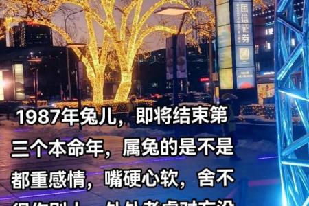 87年属兔搬家吉日(87年属兔搬家吉日有哪几天)