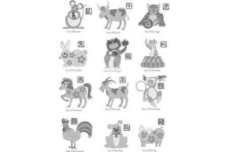 95男属猪和97女属牛结婚吉日(95男属猪和97女属牛结婚吉日是什么)