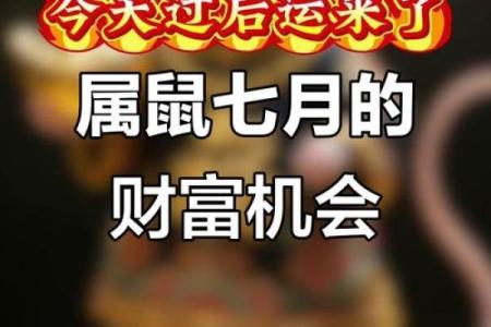2025年属鼠适合结婚的日子(属鼠的2025年结婚的好日子)