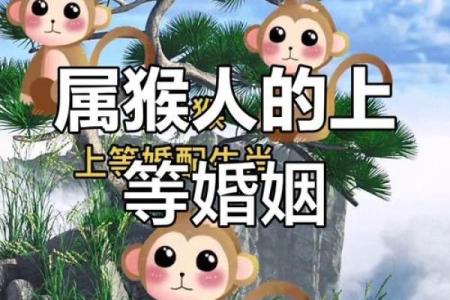 1956年属猴的最佳配偶 1956年属猴的最佳配偶是谁