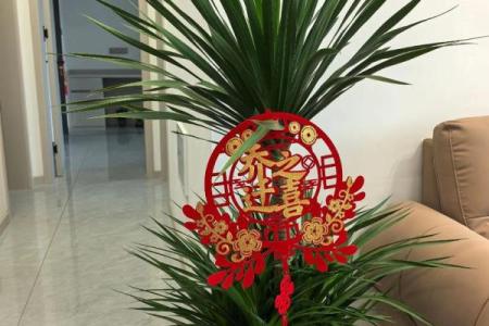 2025年8月搬家黄道吉日(2025年8月搬家黄道吉日有哪几天呢)