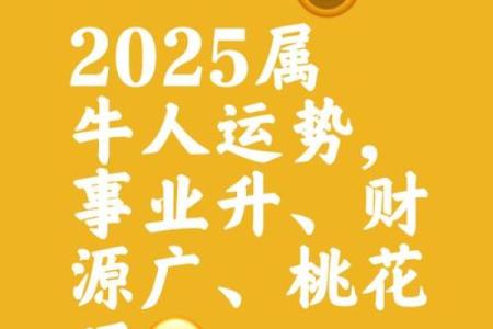 2025年属牛的适合几月结婚(属牛的人在2025年怎么样)
