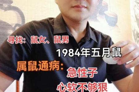 96鼠男97牛女结婚最佳日期(96鼠男和97牛女姻缘)