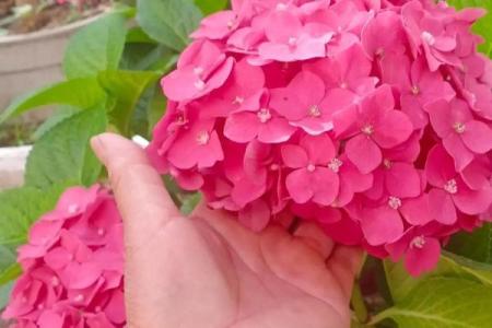 2025年农历7月份动土黄道吉日(2025年农历七月十七是阳历多少号)