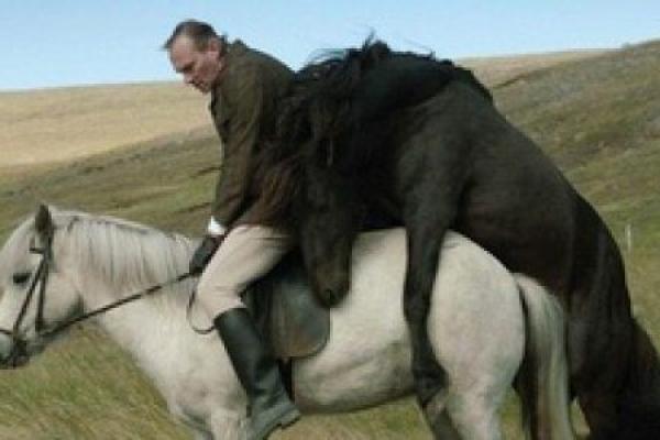 1966年属马的最佳配偶 1966年属马的最佳配偶是谁