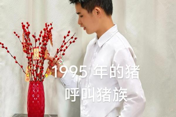 95猪男97牛女结婚最佳日期(95猪男97牛女结婚最佳日期2025)