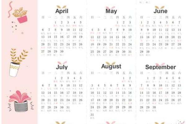 2025年11月哪天适合结婚(2025年11月日历表)