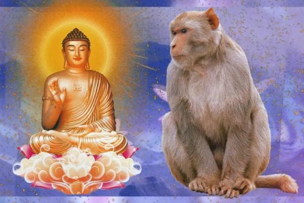 68年属猴搬家吉日(68年属猴搬家吉日吉时)