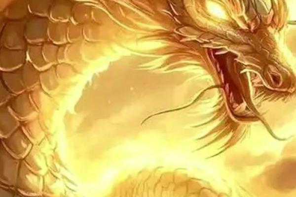 2025年属龙的结婚吉日(2025年属龙的结婚吉日)