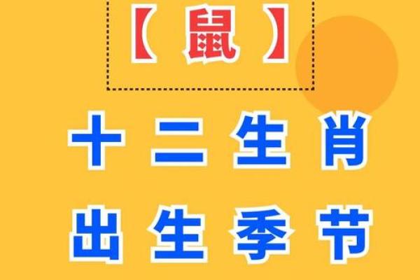 2025年属鼠结婚吉日(属鼠2025年结婚好吗)