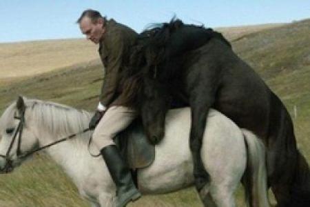 1966年属马的最佳配偶 1966年属马的最佳配偶是谁