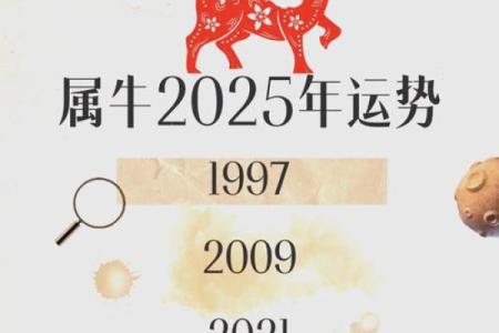 2025年属牛最佳乔迁日期(2025属牛最佳乔迁日期农历2月)