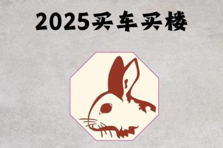 2025年属兔结婚的吉日吉时(属兔2025年是什么年)