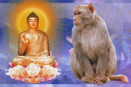 68年属猴搬家吉日(68年属猴搬家吉日吉时)