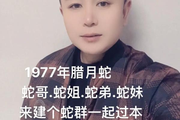 77年蛇在2025年运势
