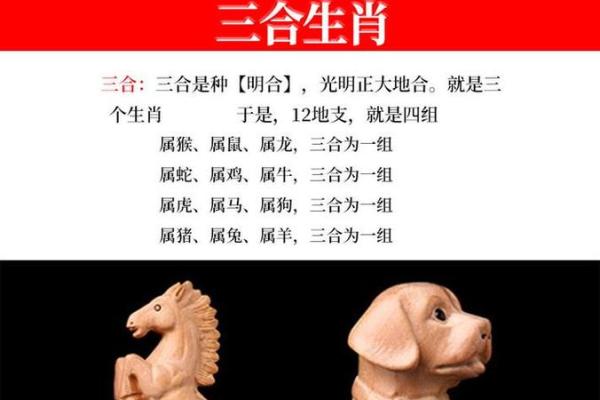 请问2019年农历新年之后出生的孩子属猪还是属狗，属相如何准确界定？
