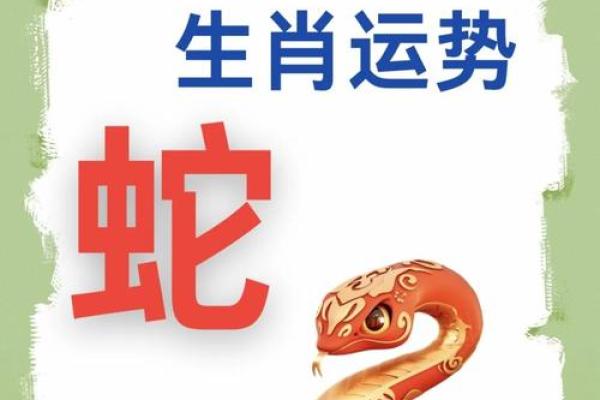 2013蛇年本命年运势解析及属蛇人全年运程得把眼睛擦亮了