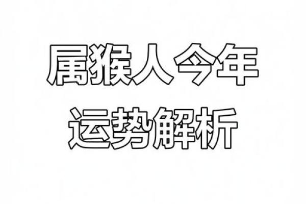 1980年属猴的人，在2023年兔年的整体运势怎么样？