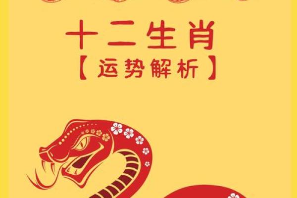 13年的蛇2025年运势及运程
