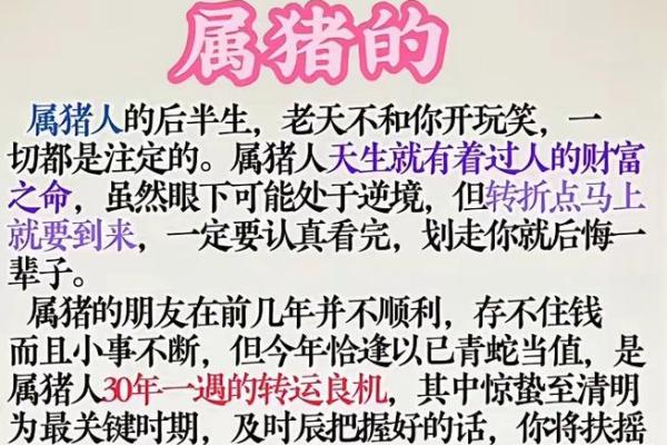 蛇和属猪的在一起运气咋样