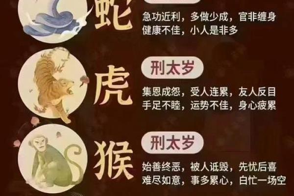 根据传统习俗2024年冲太岁的生肖扫墓有什么禁忌和讲究？