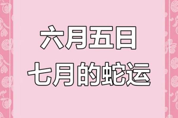 2013年属蛇人今年运势如何？财运和健康需要注意什么