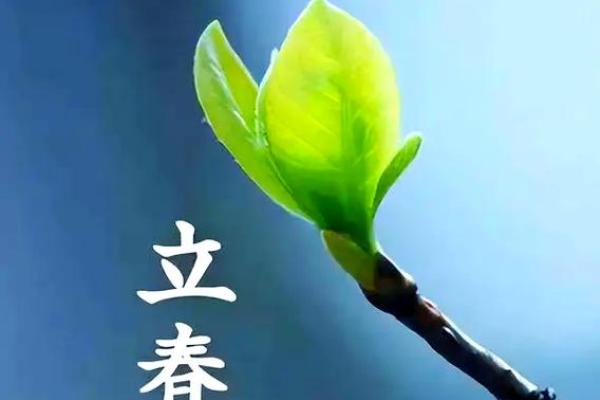 2024年躲春具体是几点到几点，哪些生肖需要特别注意？