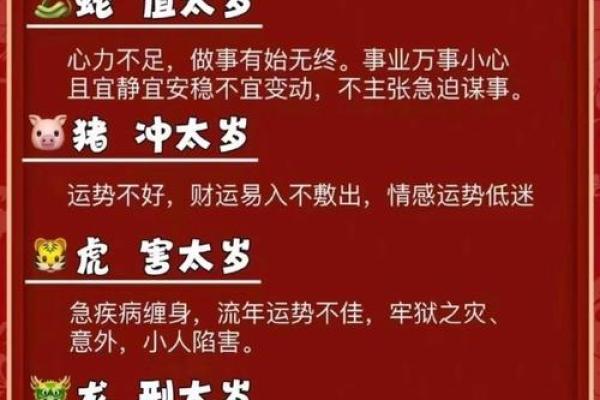 蛇年属猪人的运势如何2025