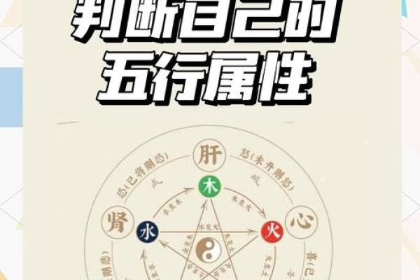 如何根据生辰八字五行命相属性来选择合适的职业发展方向？