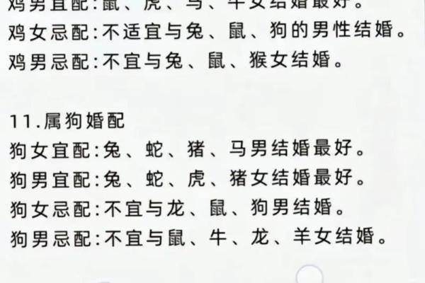 2020年运势最旺的生肖排名揭晓，看看你的属相排第几？