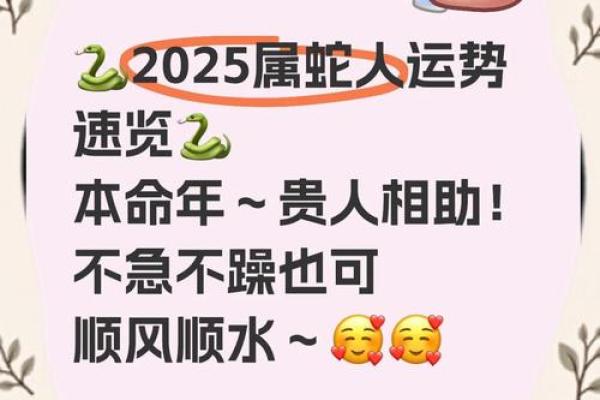 2025本命年蛇运势