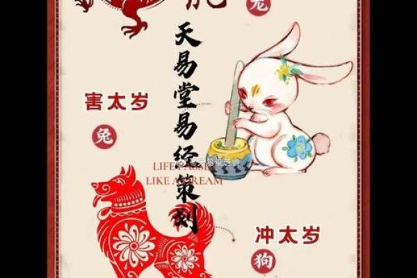 2024年犯太岁的生肖是哪几个，龙年躲春的完整禁忌和流程详解