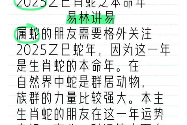 2025年属蛇年