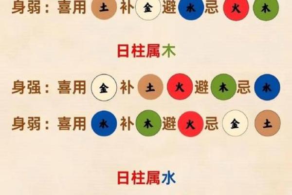 如何根据生辰八字测算五行属性并了解自身运势走向