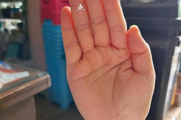 十二月份结婚选哪天最好？求大师指点黄道吉日及得把眼睛擦亮了