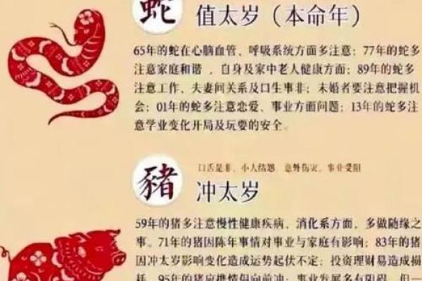 2013年蛇年本命年运势如何？需要注意哪些事项？