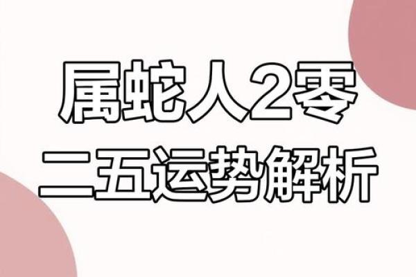 属蛇的在2025年的运势及运程