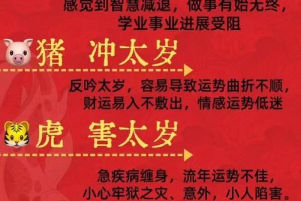 属猪的人2013年冲太岁如何化解以及有什么转运方法？