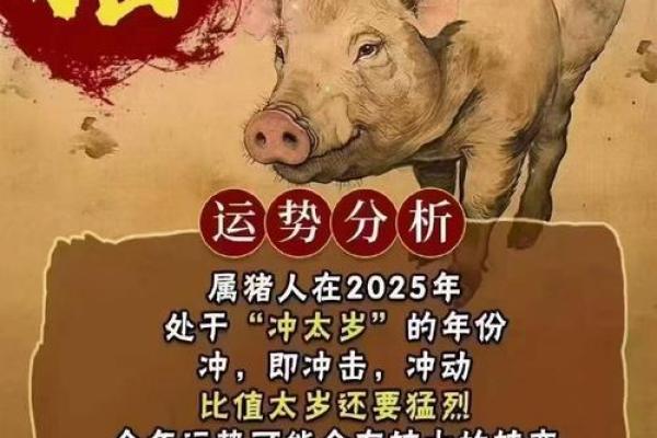 属猪的人2013年冲太岁如何化解以及有什么转运方法？