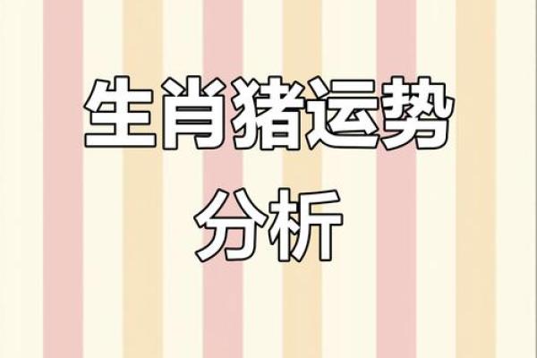 2013年属猪人的全年运势详解，每月运程及得把眼睛擦亮了分析